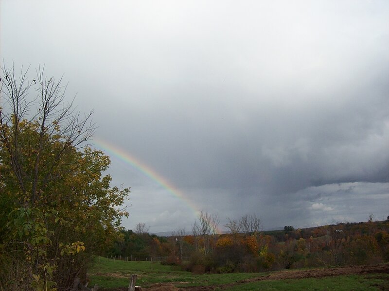 Rainbow over Field — Gray