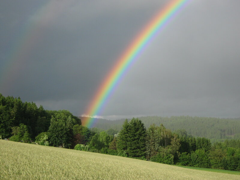Rainbow over Field — Green, Dramatic, Afternoon, Photograph