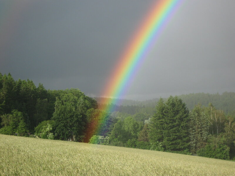 Rainbow over Field — Green, Dramatic, Afternoon