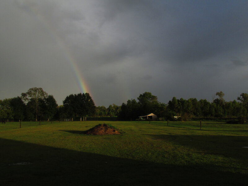 Rainbow over Field — Green, Dramatic, Sunset, Photograph, Trees