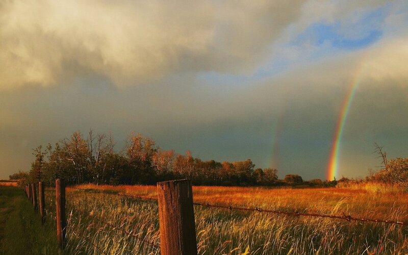 Rainbow over Field — Green, Dramatic, Sunset