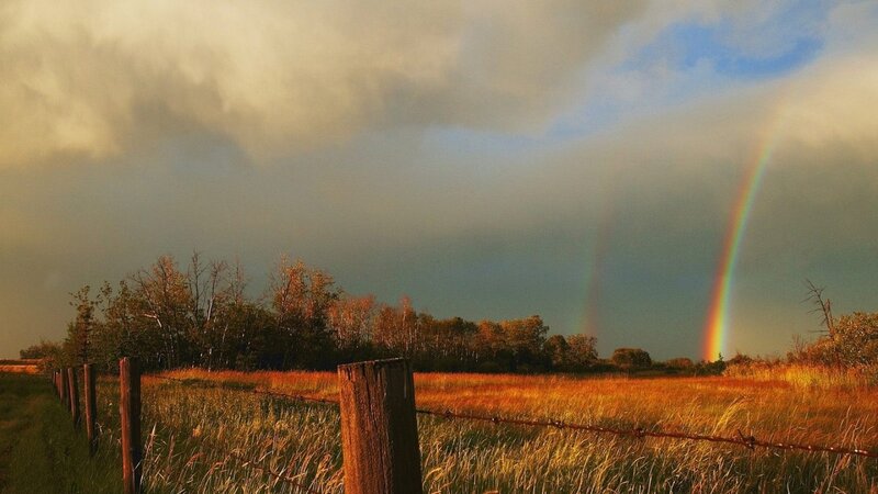 Rainbow over Field — Green, Dramatic