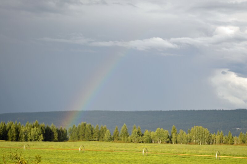 Rainbow over Field — Green, Serene, Afternoon, Photograph