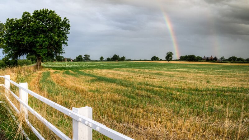 Rainbow over Field — Green, Serene, Afternoon, Photograph, Tree