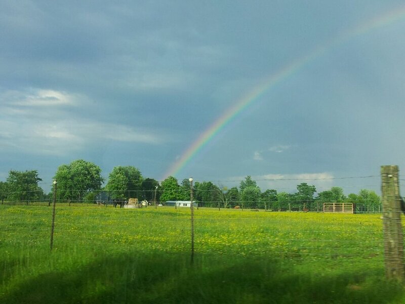 Rainbow over Field — Green, Serene, Afternoon