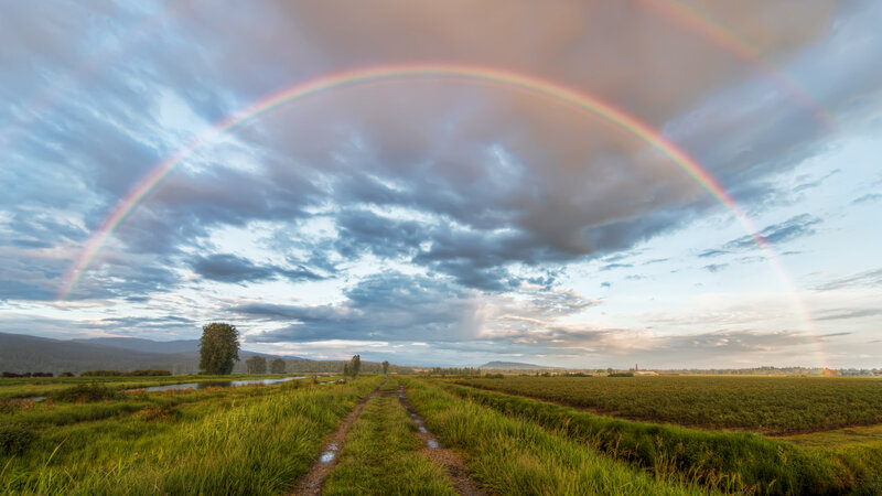 Rainbow over Field — Green, Serene