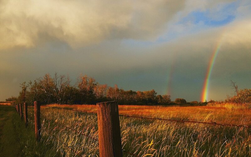 Rainbow over Field — Green