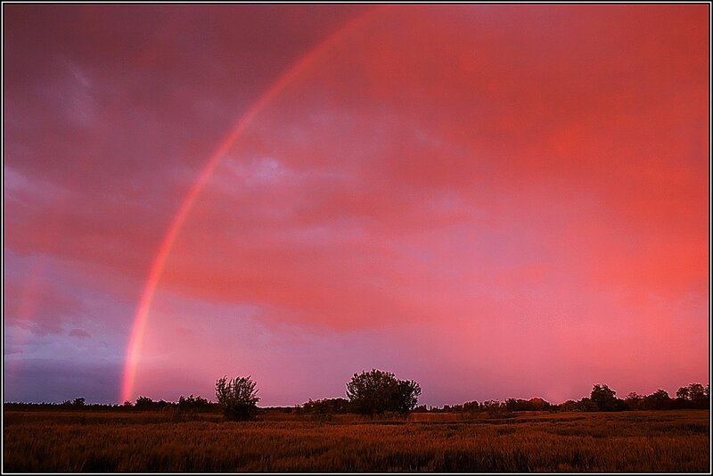 Rainbow over Field — Red