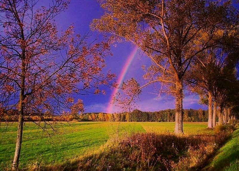 Rainbow over Field