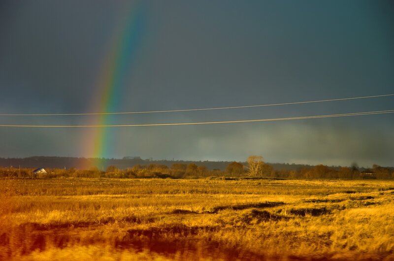 Rainbow over Field — Yellow, Dramatic, Sunset, Photograph