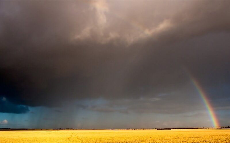 Rainbow over Field — Yellow