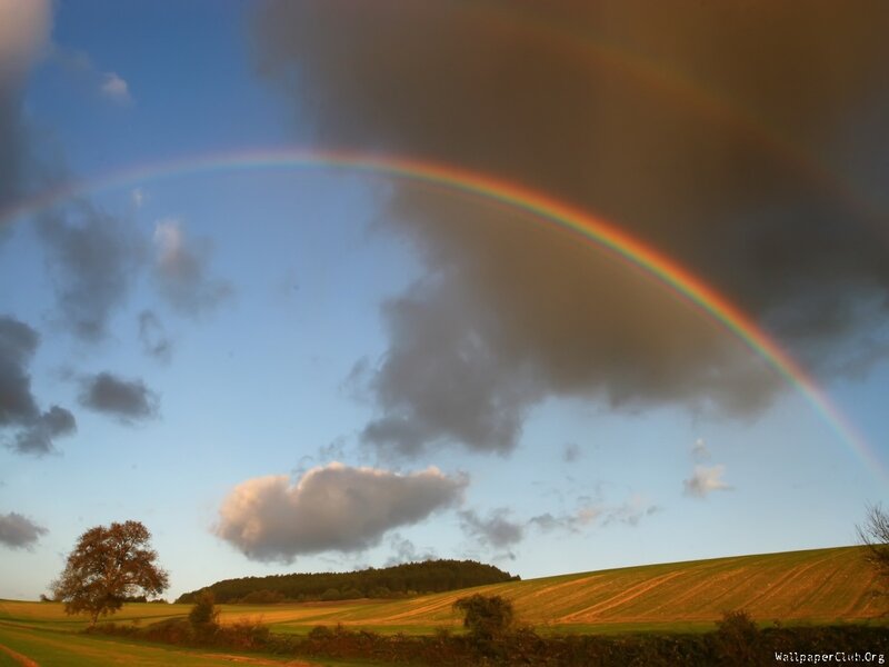 Rainbow over Fields — Blue, Serene, Sunset, Photograph, Clouds, Tree, Hills, Green, Brown