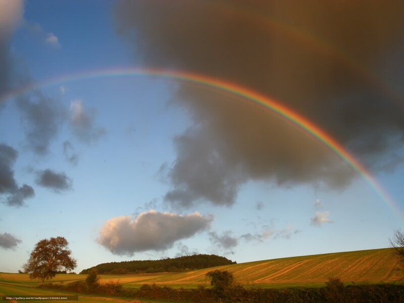 Rainbow over Fields — Blue, Serene, Sunset, Photograph
