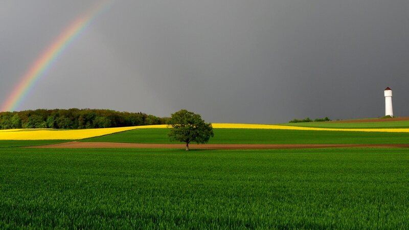 Rainbow over Fields — Green, Dramatic, Afternoon, Photograph, Tree
