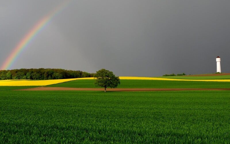 Rainbow over Fields — Green, Dramatic, Afternoon