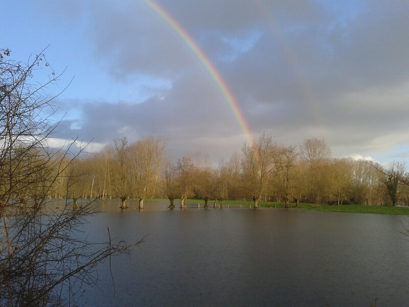 Rainbow over Flooded Field