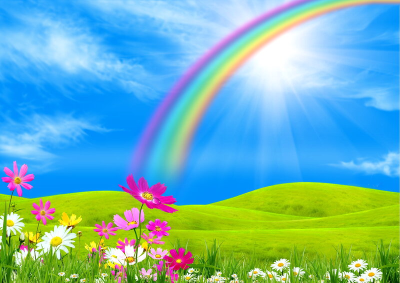 Rainbow over Flower Field — Blue