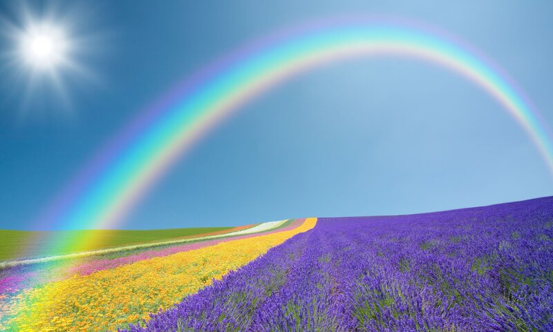 Rainbow over Flower Fields