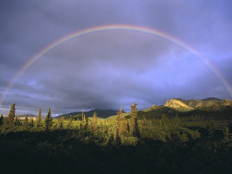 Rainbow over Forest — Blue, Dramatic, Sunset