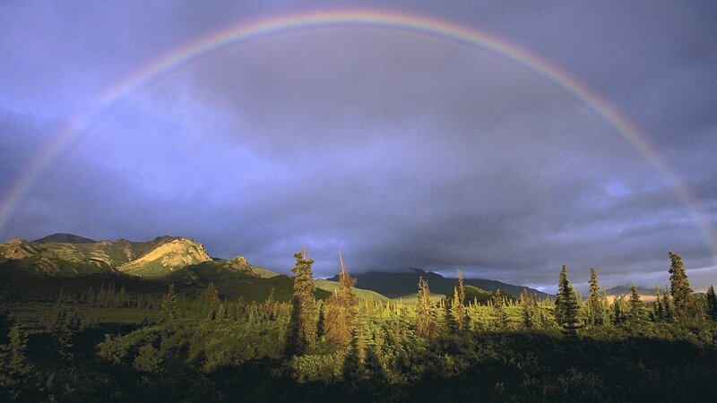 Rainbow over Forest — Blue, Dramatic