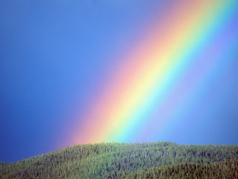Rainbow over Forest — Blue, Serene, Photograph