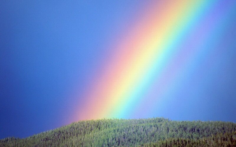 Rainbow over Forest — Blue, Serene