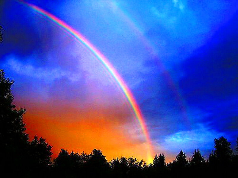 Rainbow over Forest — Blue