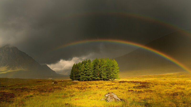 Rainbow over Forest — Green, Dramatic