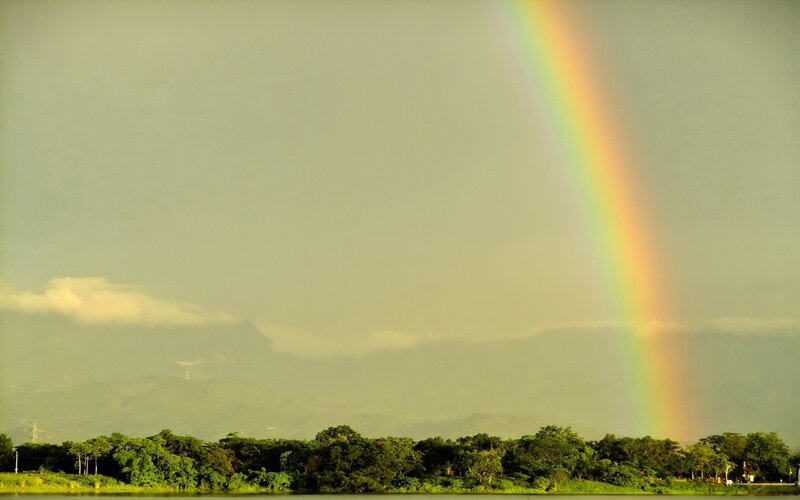 Rainbow over Forest — Green, Serene, Afternoon