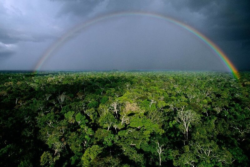 Rainbow over Forest — Green