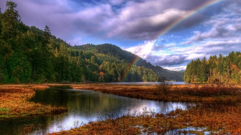 Rainbow over forest lake