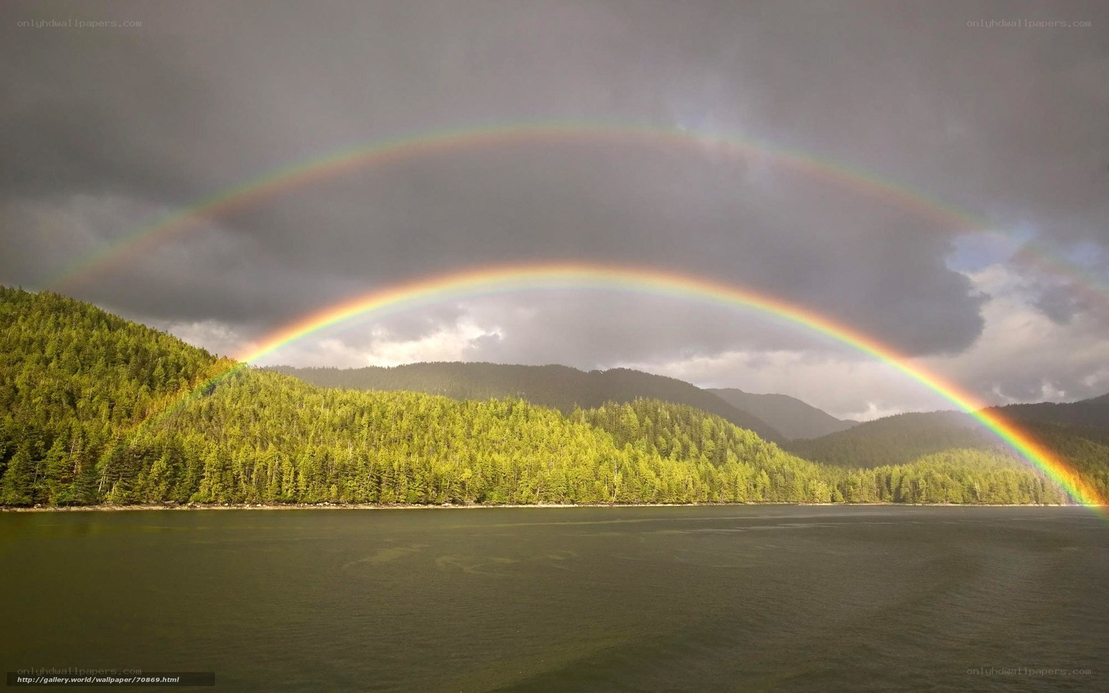 Rainbow over forest lake