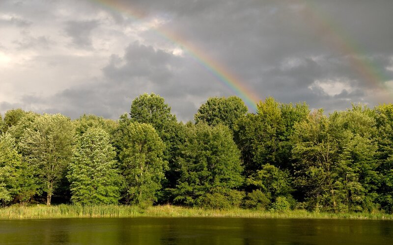 Rainbow over forest lake