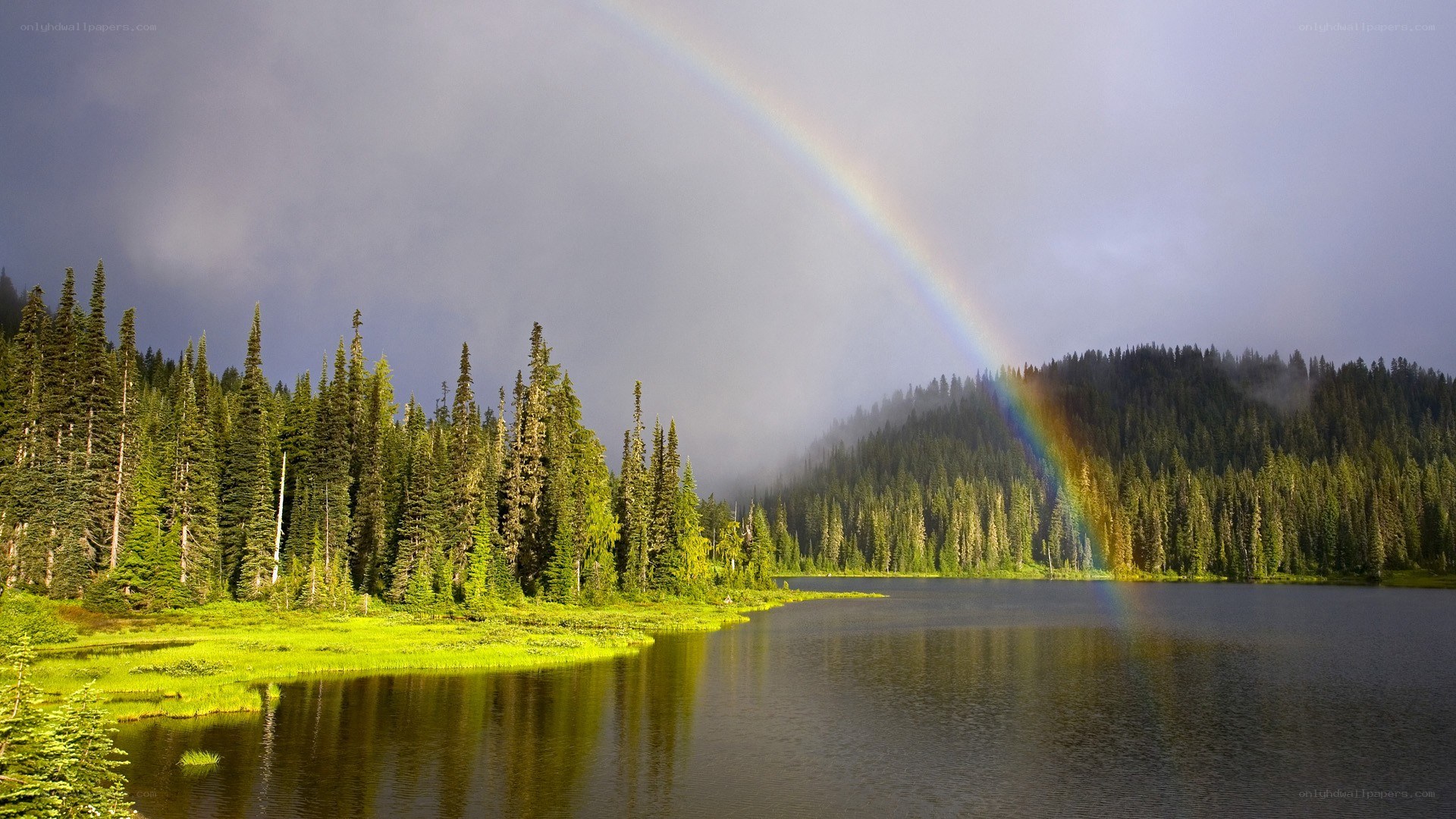 Rainbow over forest lake