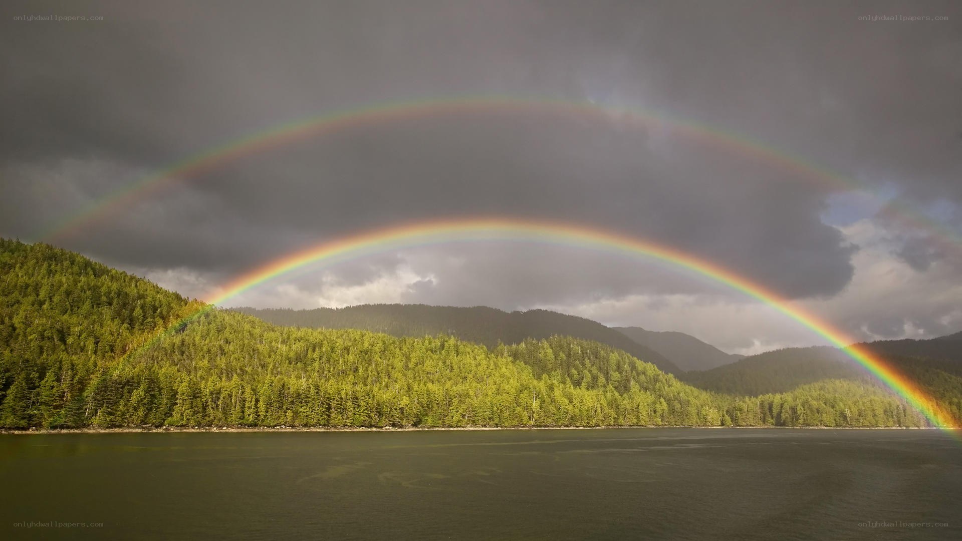 Rainbow over forest lake