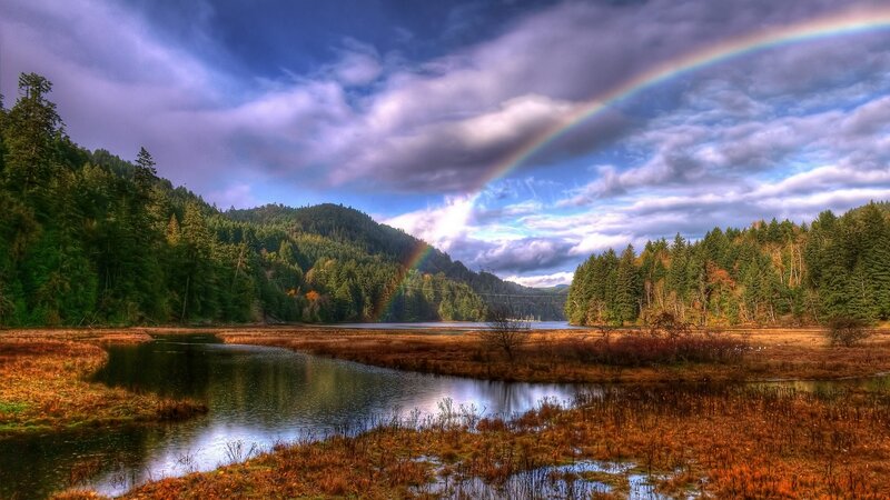 Rainbow over Forest Lake — Blue, Dramatic