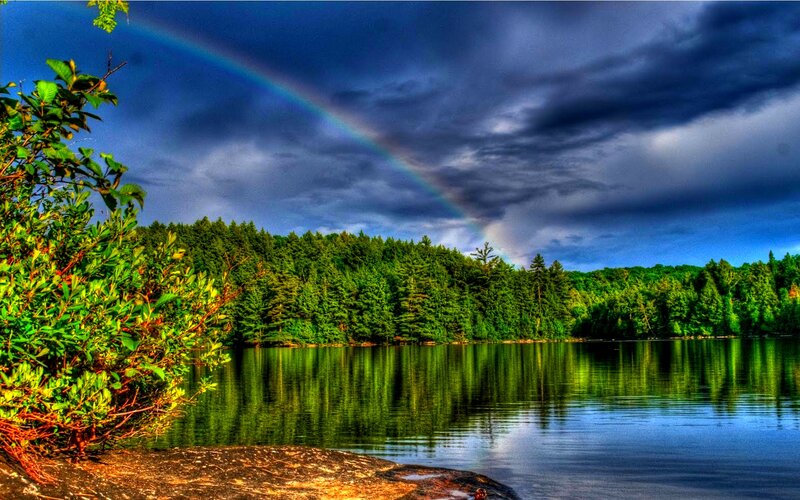 Rainbow over Forest Lake — Green