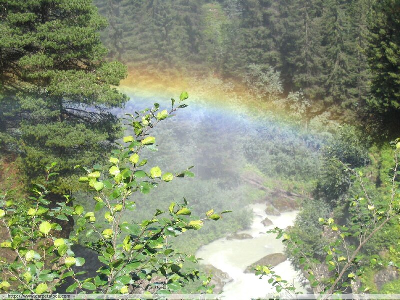 Rainbow over forest river