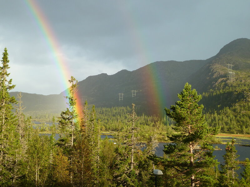 Rainbow over Forest