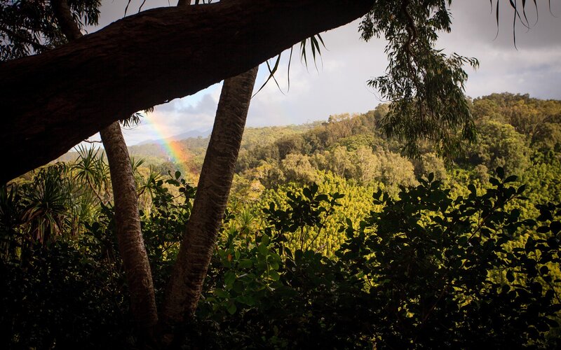 Rainbow over forest valley