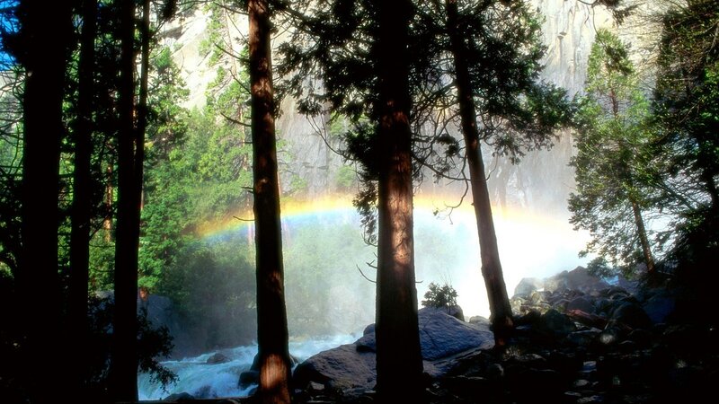 Rainbow over forest waterfall
