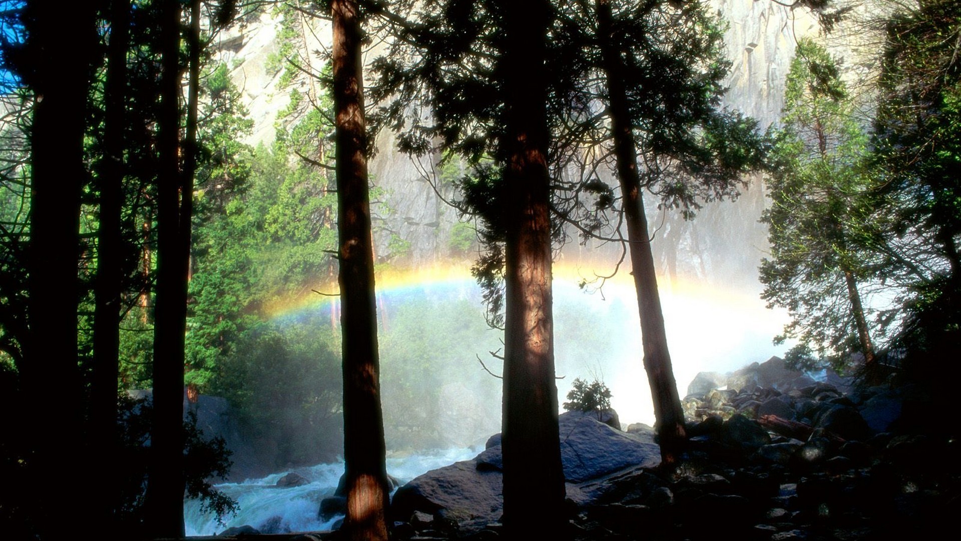 Rainbow over forest waterfall