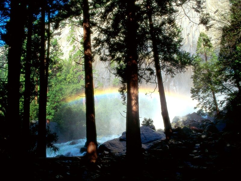 Rainbow over forest waterfall