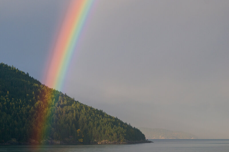 Rainbow over Forested Hill — Green