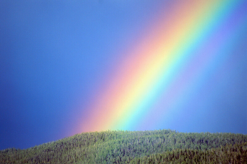 Rainbow over forested hill