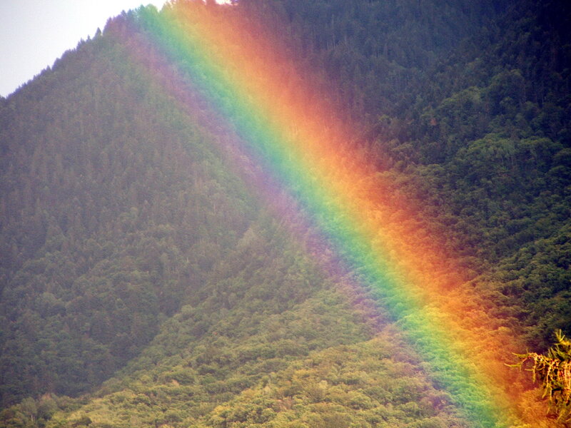 Rainbow over forested mountain