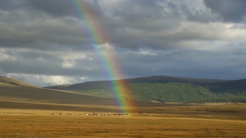 Rainbow over Grassland — Brown, Dramatic