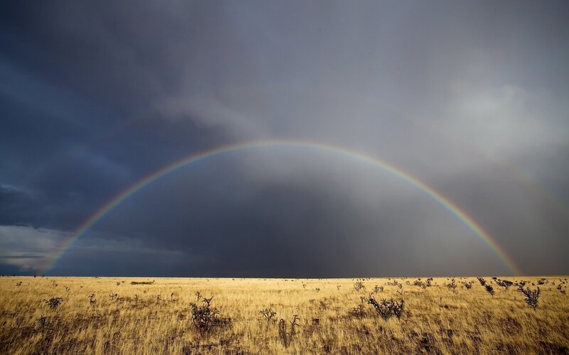 Rainbow over Grassland — Gray