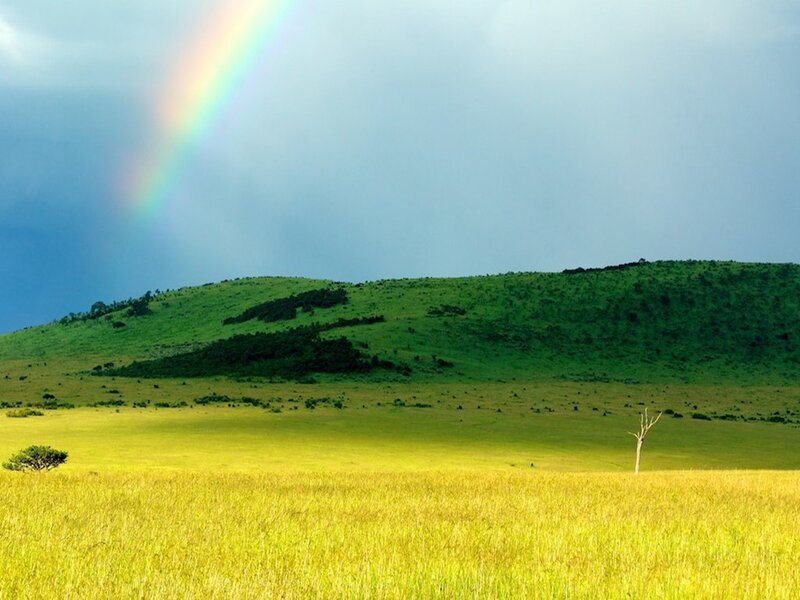 Rainbow over Grassland