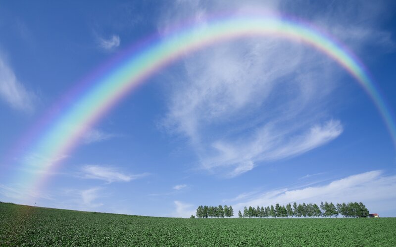 Rainbow over green field